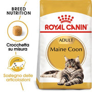 Royal Canin Maine Coon Adult Crocchette per gatto  2 kg